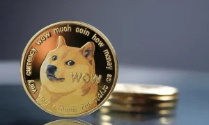 Dogecoin-DOGE-welche-krypto-kaufen