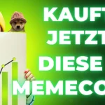 Top-Krypto-Trader kauft jetzt diese 2 Memecoins