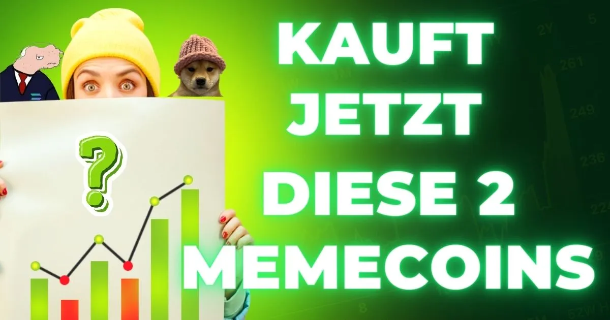 Top-Krypto-Trader kauft jetzt diese 2 Memecoins